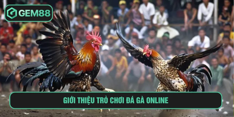 Đá gà online là thể loại giải trí yêu thích hiện nay