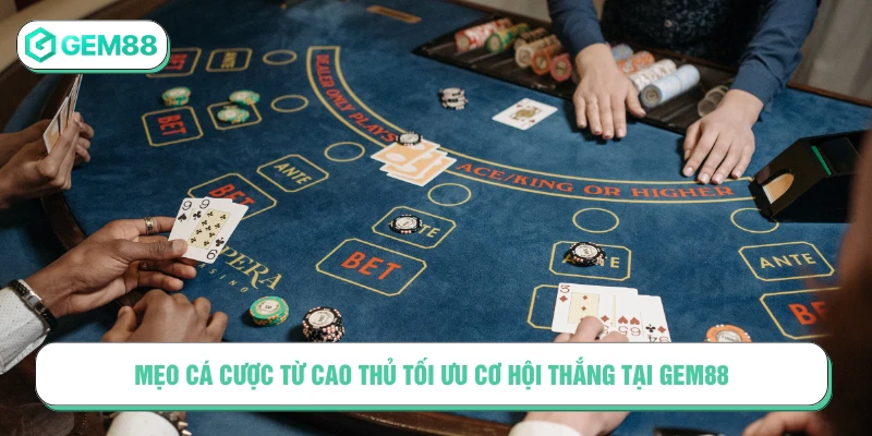 Mẹo Cá Cược Từ Cao Thủ Tối Ưu Cơ Hội Thắng Tại GEM88 mẹo cá cược từ cao thủ