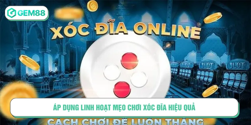 Mẹo chơi xóc đĩa online tập trung vào một cửa hiệu quả
