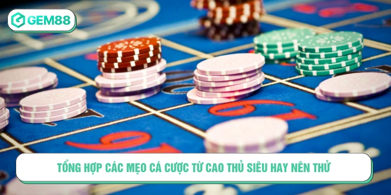 Mẹo Cá Cược Từ Cao Thủ Tối Ưu Cơ Hội Thắng Tại GEM88 Tổng hợp các mẹo cá cược từ cao thủ siêu hay nên thử