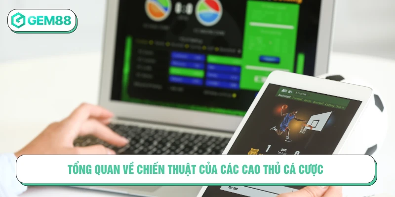 Mẹo Cá Cược Từ Cao Thủ Tối Ưu Cơ Hội Thắng Tại GEM88 Tổng quan về chiến thuật của các cao thủ cá cược